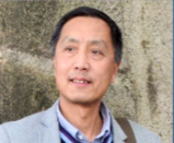 书画作品的鉴赏与评析